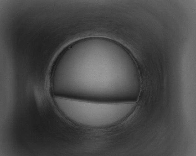 X0000100911511200806241040
