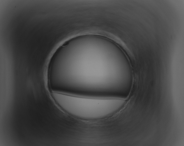 X0000100911512200806241040