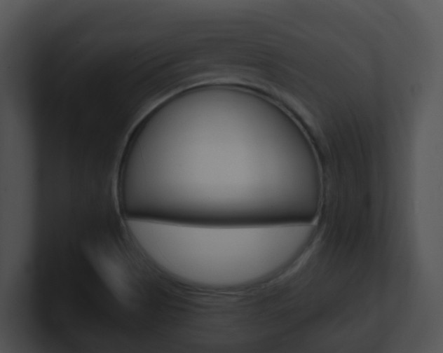X0000100911513200806241040