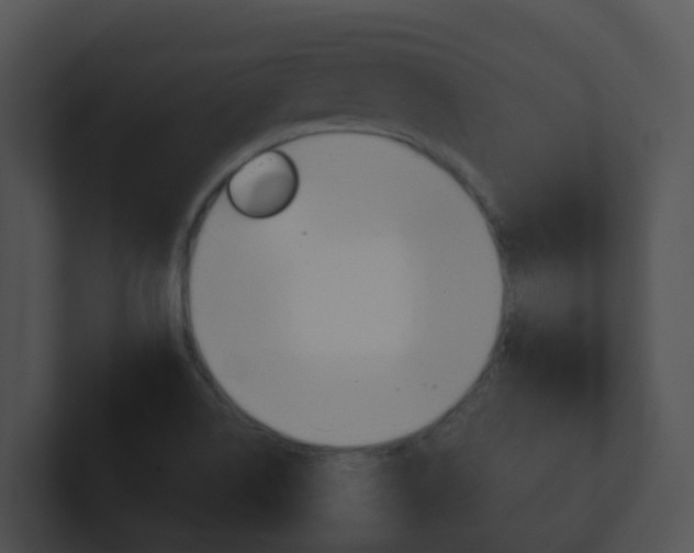 X0000100911514200806241040
