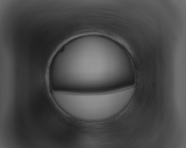 X0000100911516200806241040