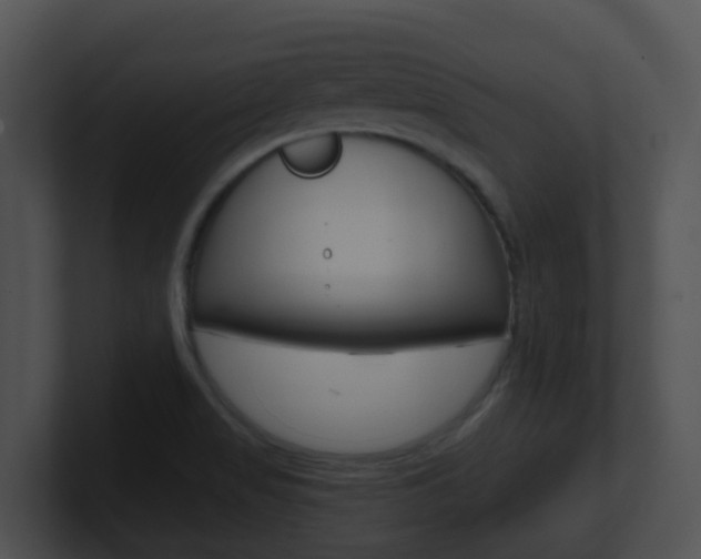 X0000100911517200806241040