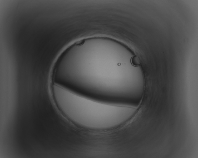 X0000100911518200806241040