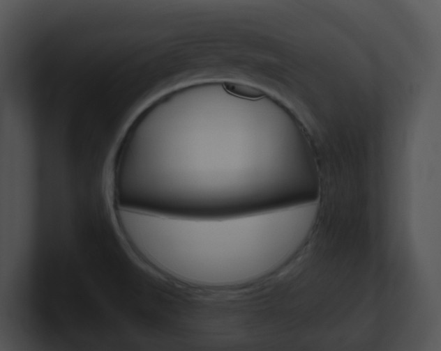 X0000100911519200806241040