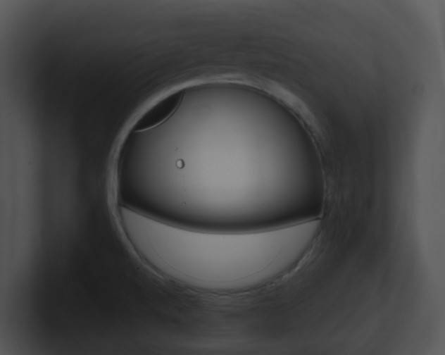 X0000100911520200806241040