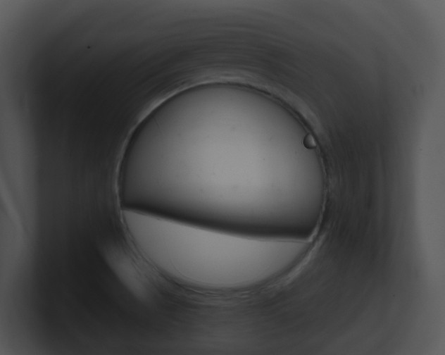 X0000100911521200806241040