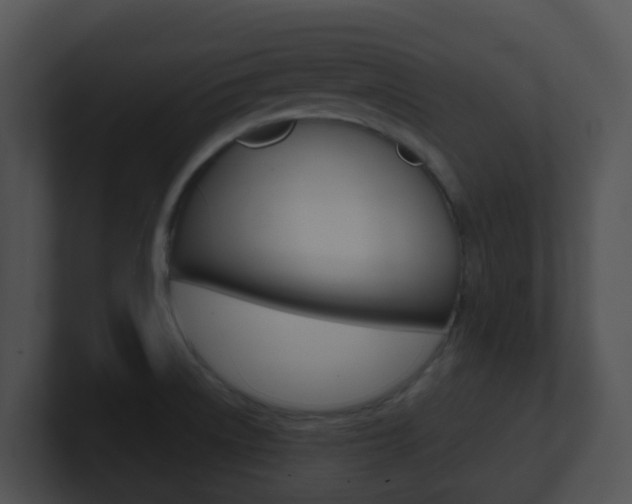 X0000100911522200806241040