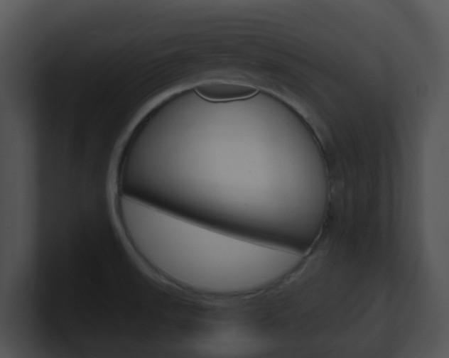 X0000100911523200806241040