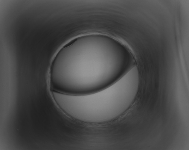 X0000100911524200806241040