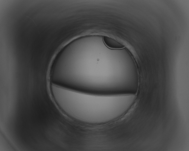 X0000100911525200806241040