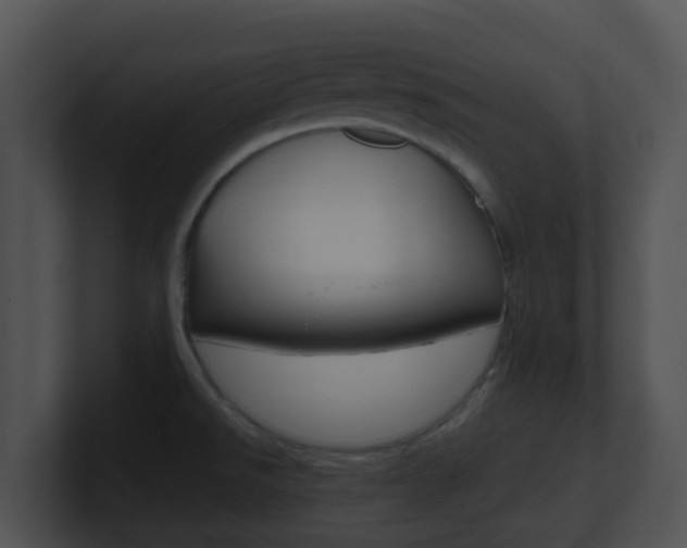 X0000100911526200806241040
