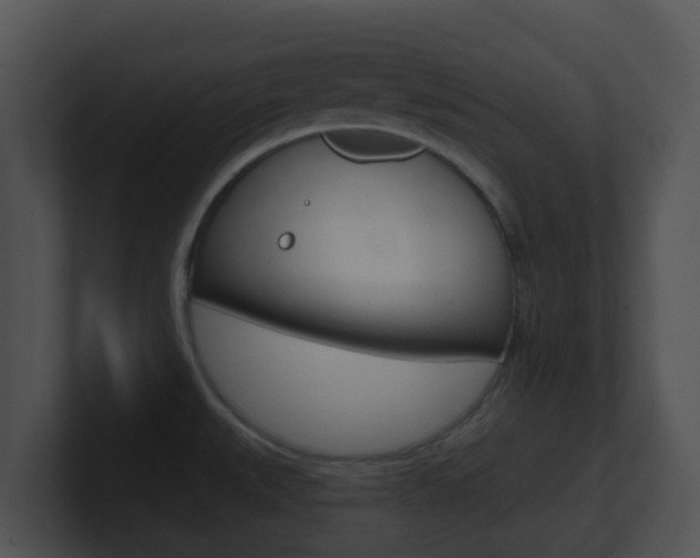 X0000100911527200806241040