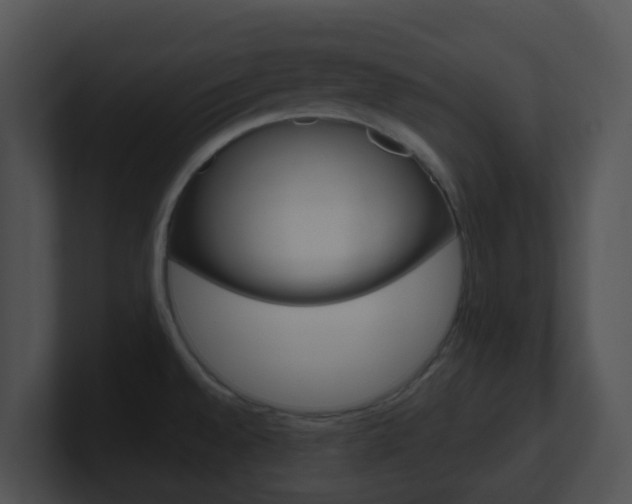 X0000100911528200806241040