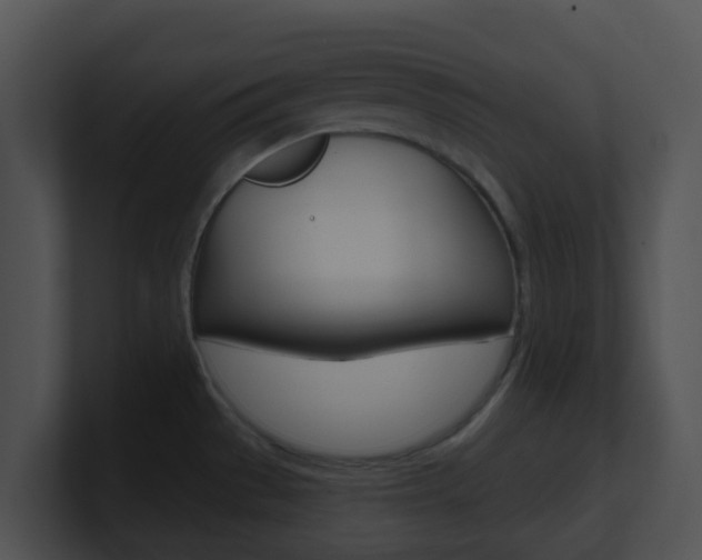 X0000100911529200806241040