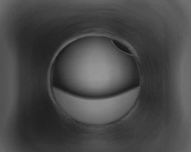 X0000100911530200806241040