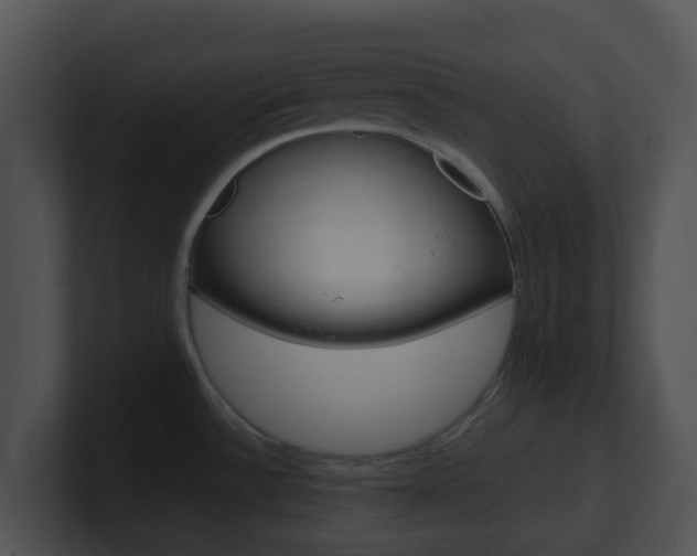 X0000100911532200806241040