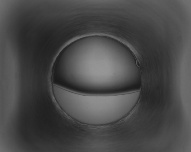 X0000100911534200806241040