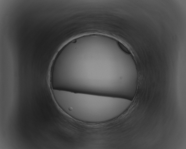 X0000100911535200806241040