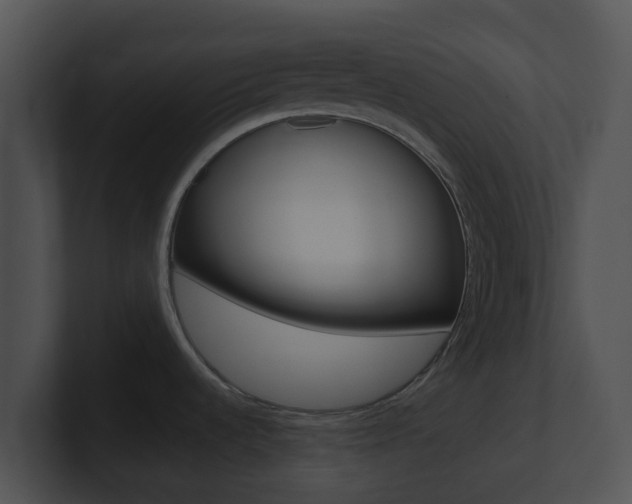 X0000100911536200806241041