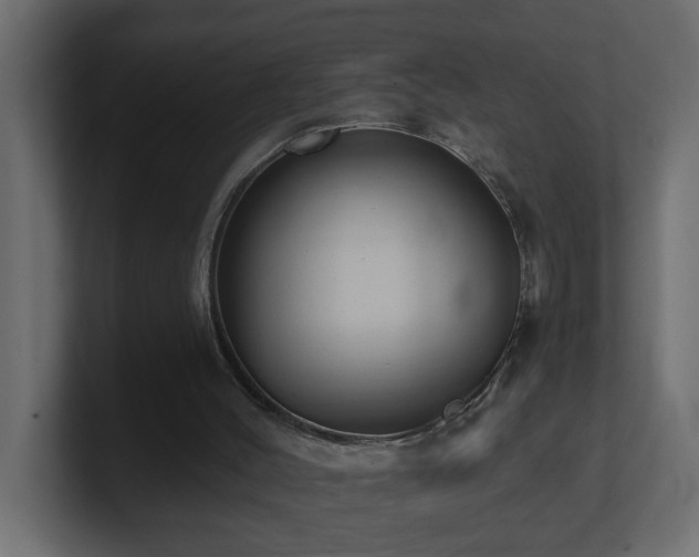 X0000100910004200806241323