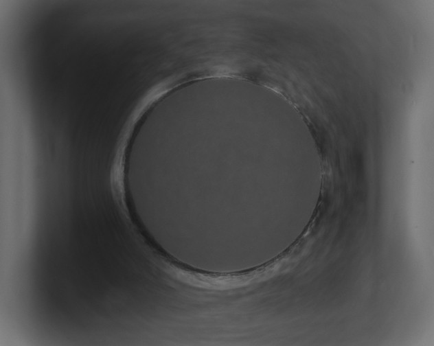 X0000100910006200806241323