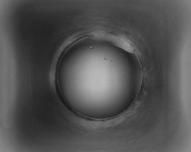 X0000100910007200806241323