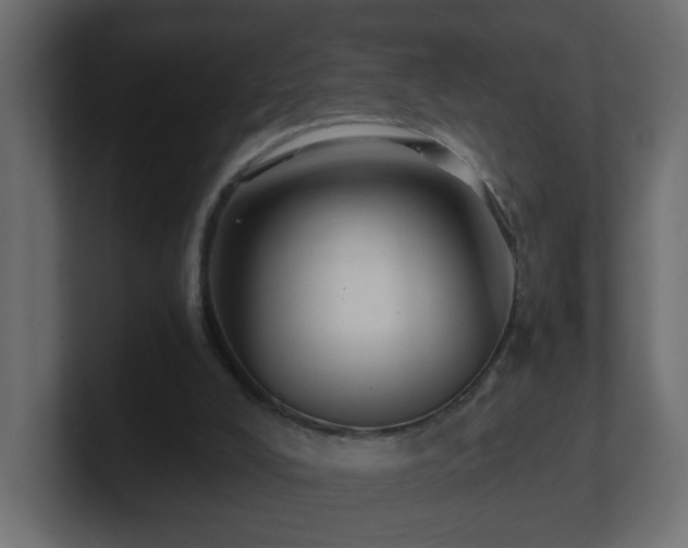 X0000100910008200806241323