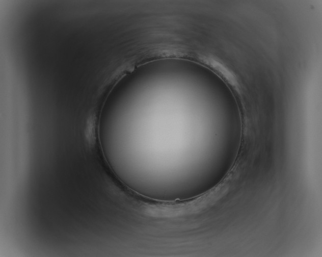 X0000100910009200806241323