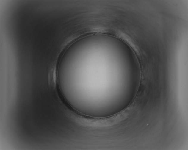 X0000100910011200806241323