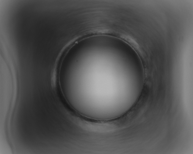 X0000100910012200806241323
