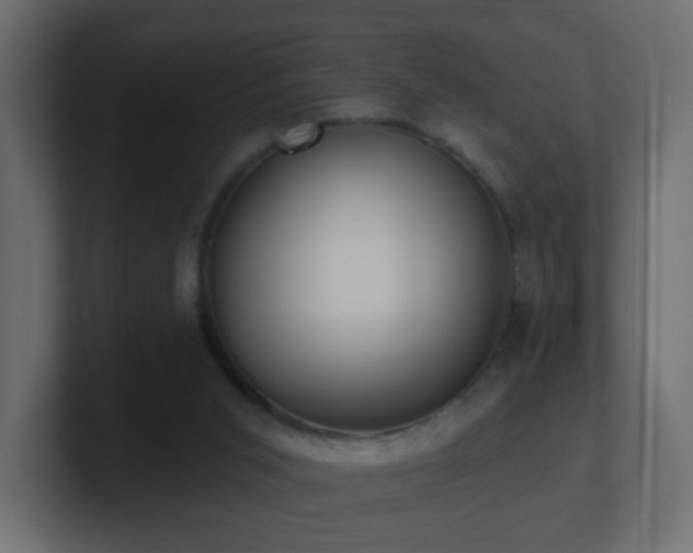 X0000100910015200806241323