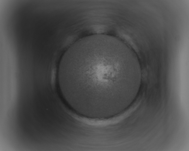 X0000100910018200806241323