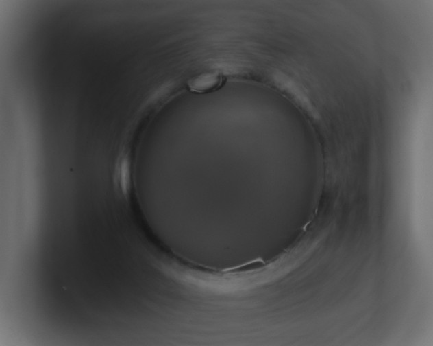 X0000100910019200806241323