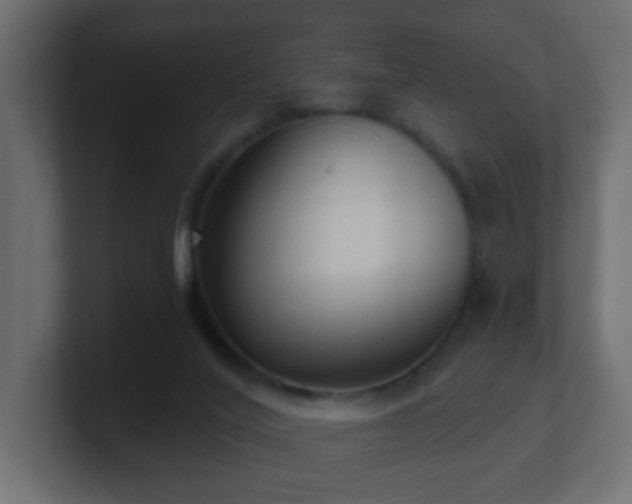 X0000100910020200806241323