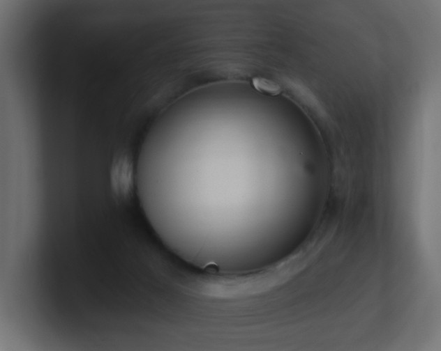 X0000100910021200806241323
