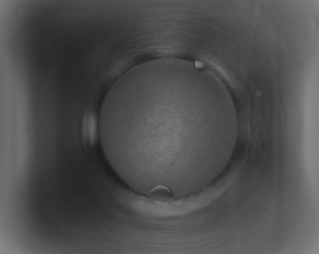 X0000100910022200806241323