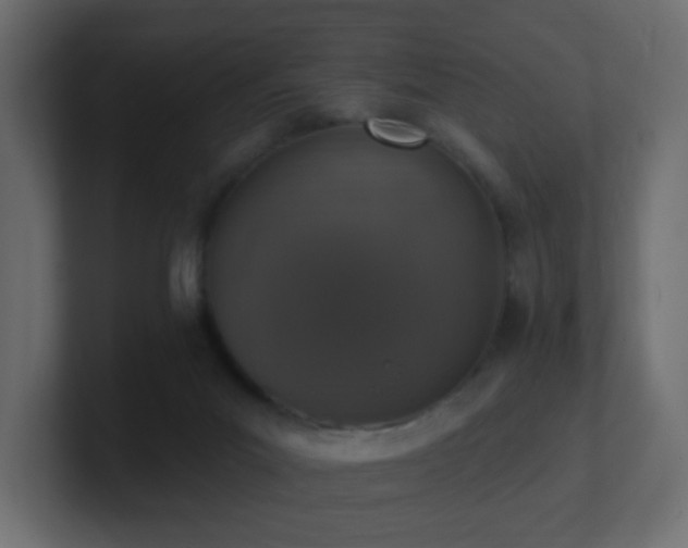 X0000100910023200806241323