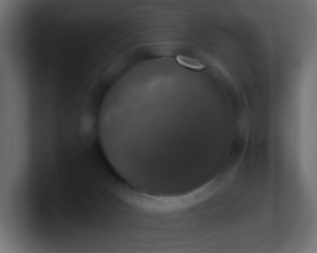 X0000100910031200806241323