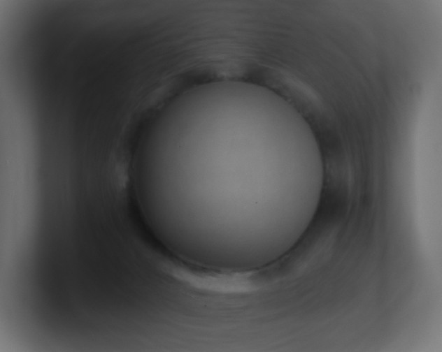 X0000100910032200806241323