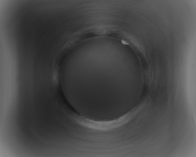 X0000100910035200806241323
