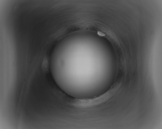 X0000100910037200806241323