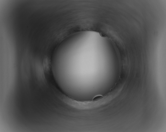 X0000100910038200806241323