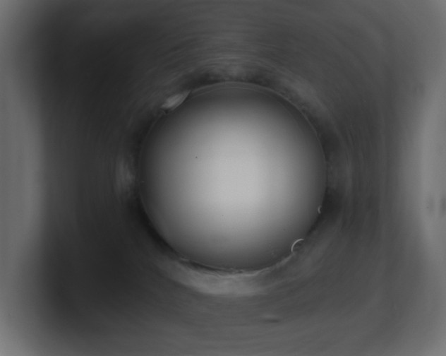 X0000100910040200806241322