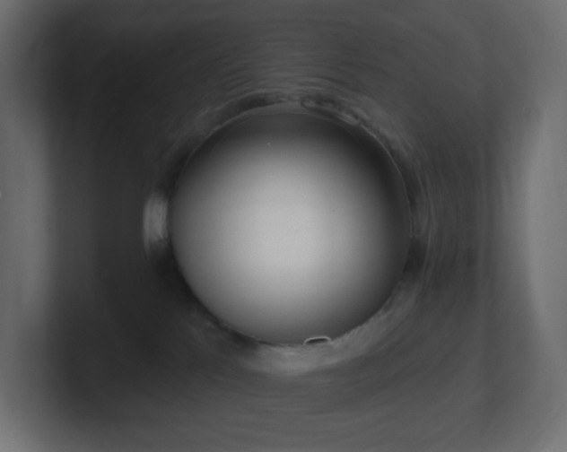 X0000100910041200806241322