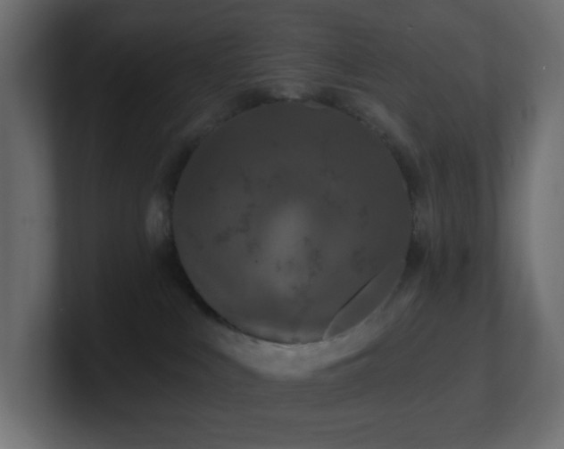 X0000100910043200806241322