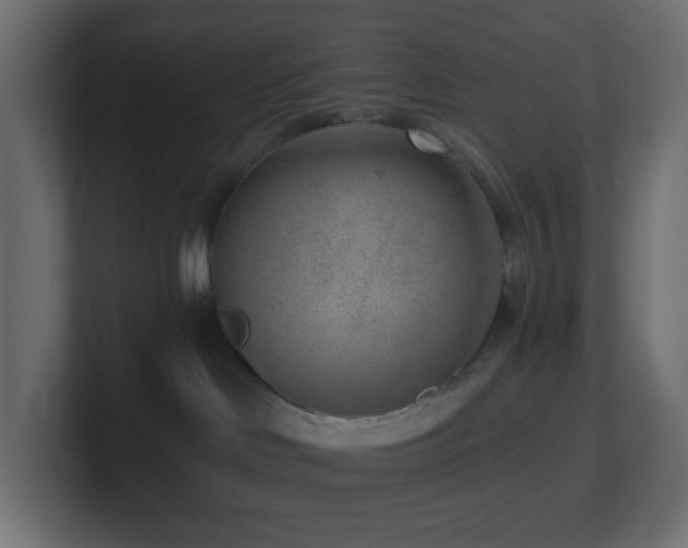 X0000100910046200806241322