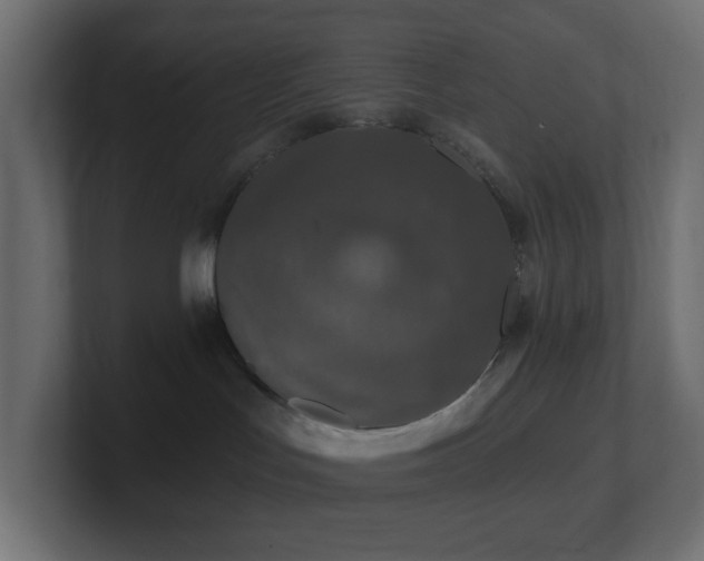 X0000100910047200806241322