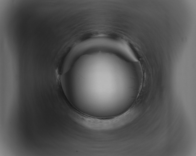 X0000100910048200806241322