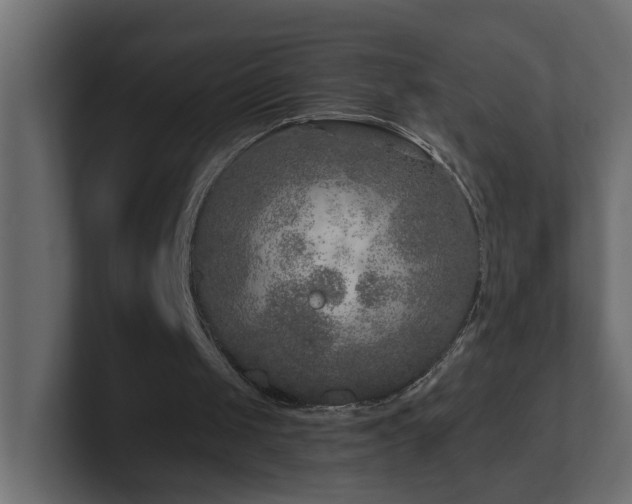 X0000100910049200806241322