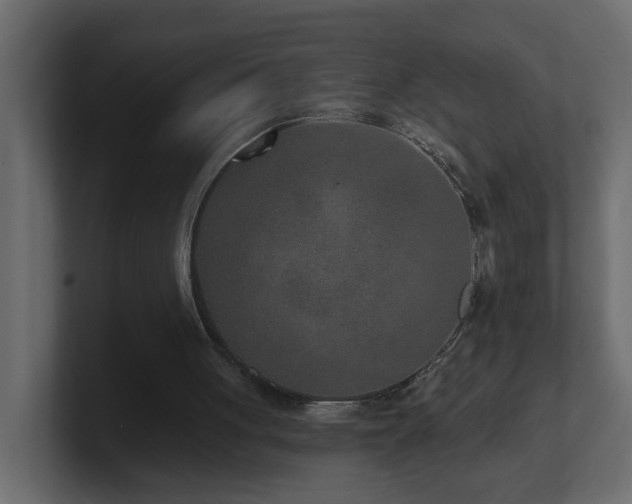 X0000100910051200806241322
